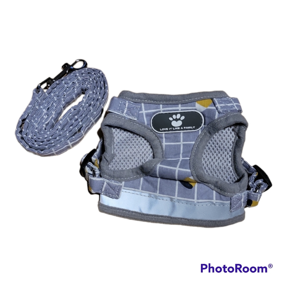 Harness and leash combo for small dog